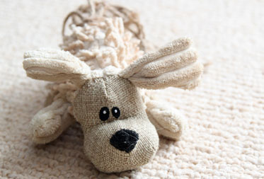 Dog food and treat shops in Devon